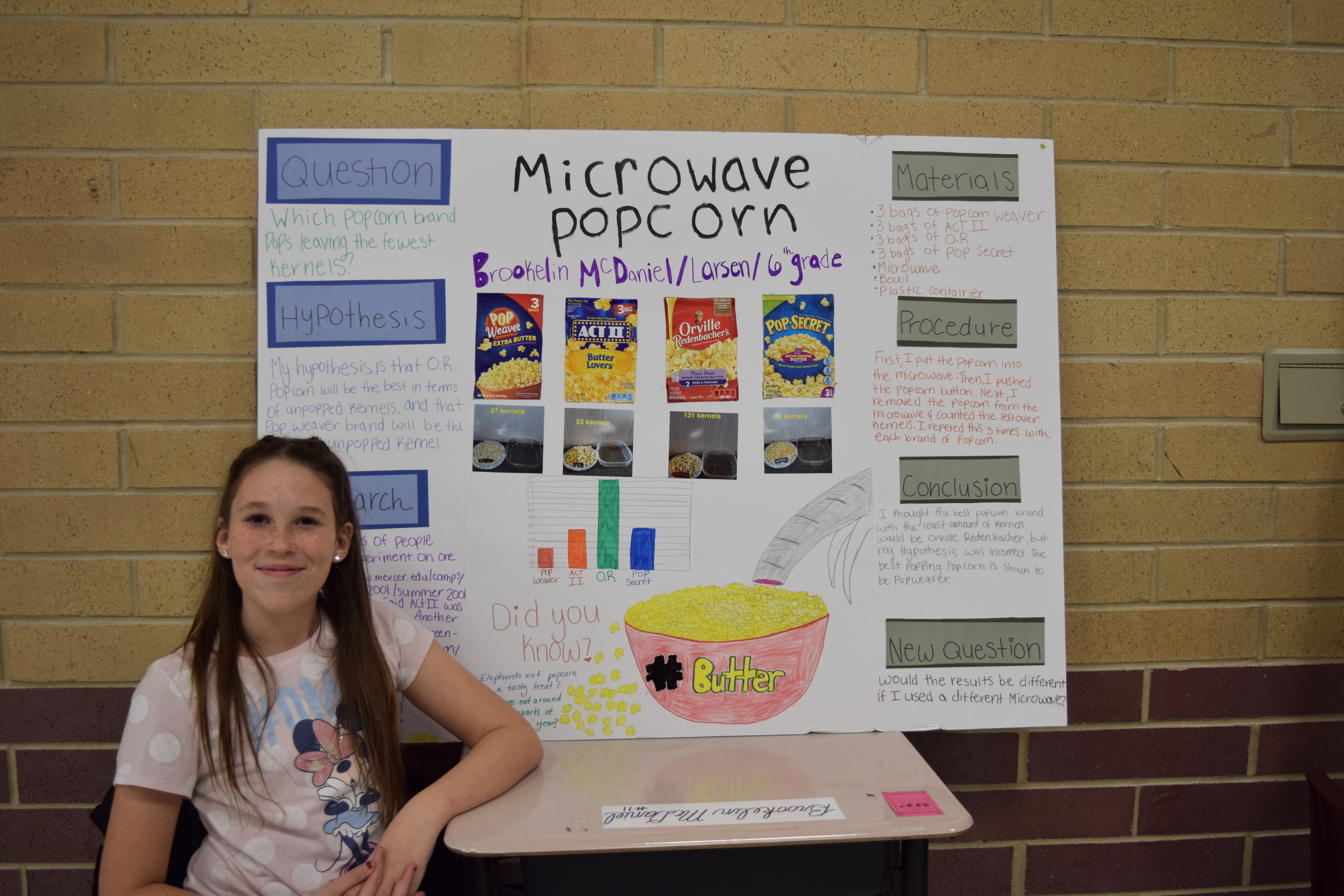 science fair project ideas for 6th grade