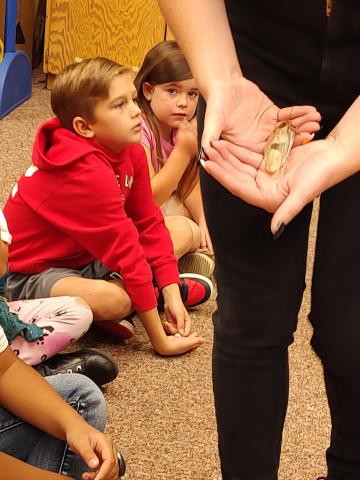 2nd Grade Aquarium Visits