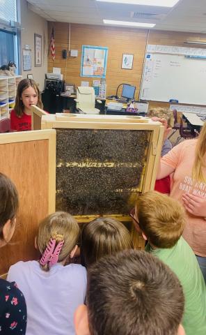 Students learn about bees