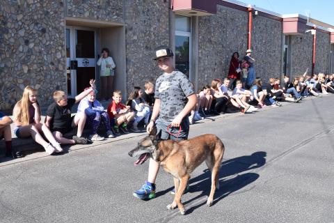 Pet Parade