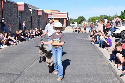 Pet Parade