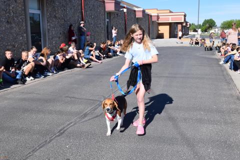 Pet Parade