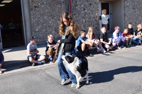 Pet Parade