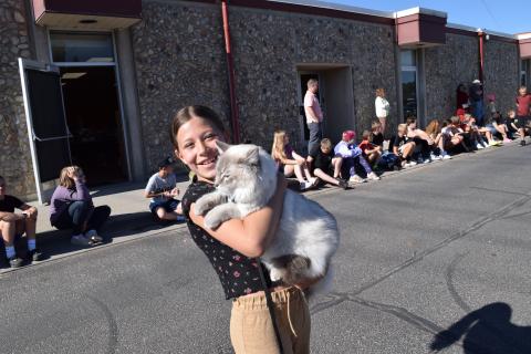 Pet Parade