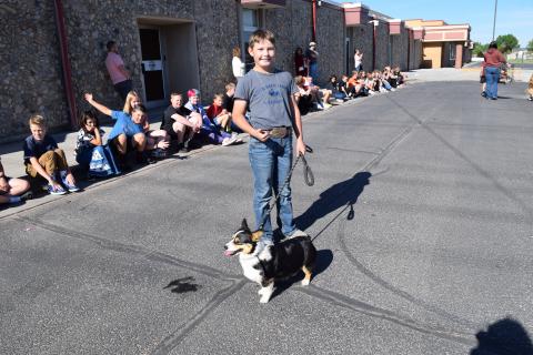 Pet Parade