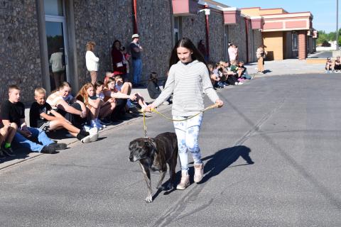 Pet Parade