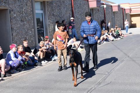 Pet Parade