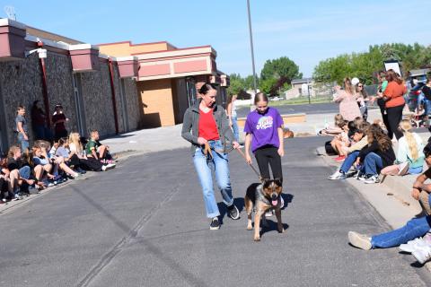 Pet Parade