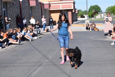 Pet Parade